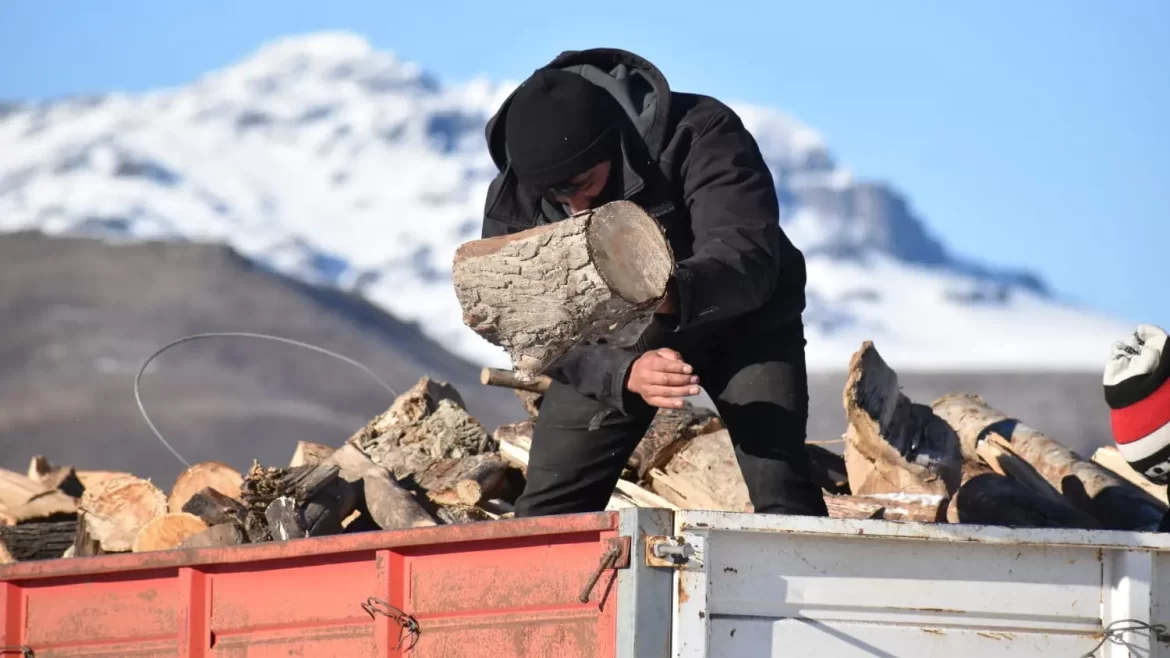 El Plan Calor alcanzó a 900 familias rionegrinas