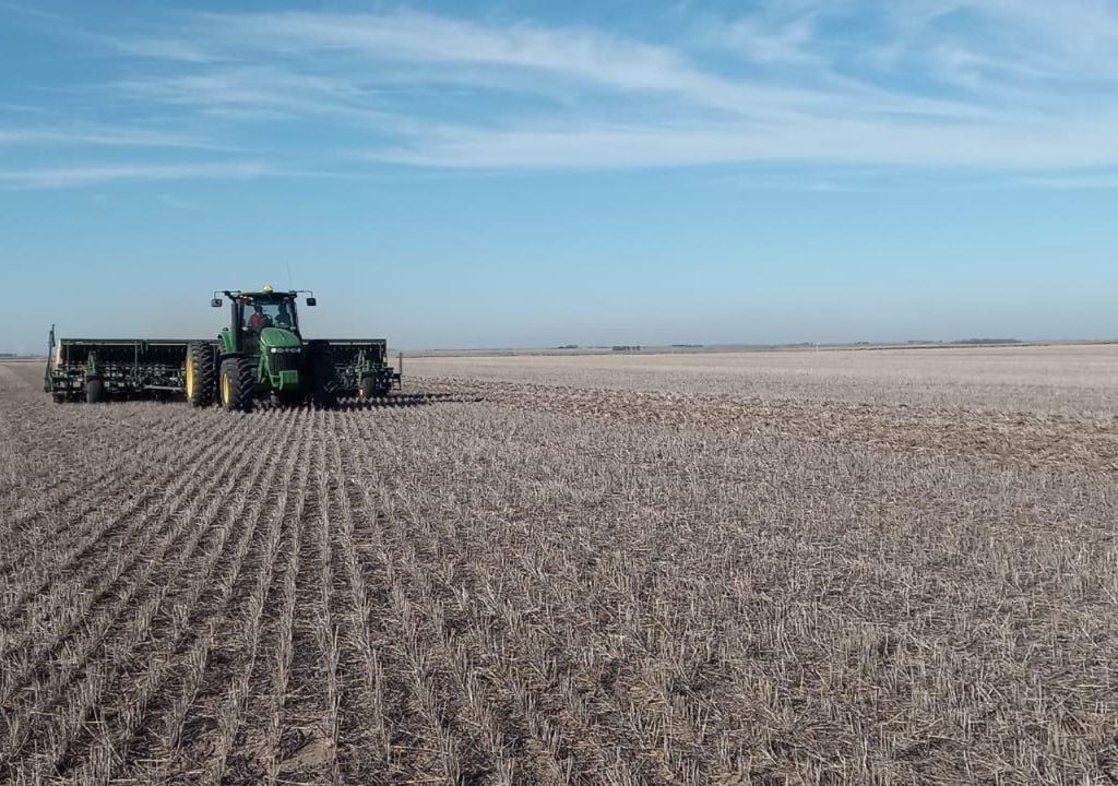 Comenzó la siembra de trigo y cebada en la Argentina