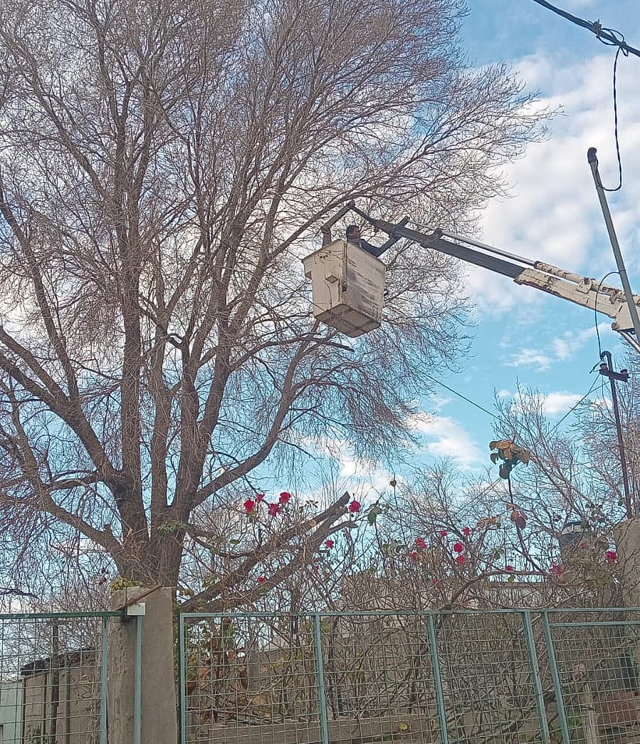 Trabajos en espacios verdes en Carmen de Patagones