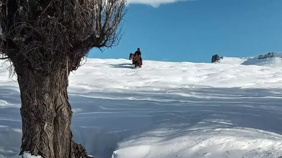 Amplían la emergencia agropecuaria por sequía y nevadas