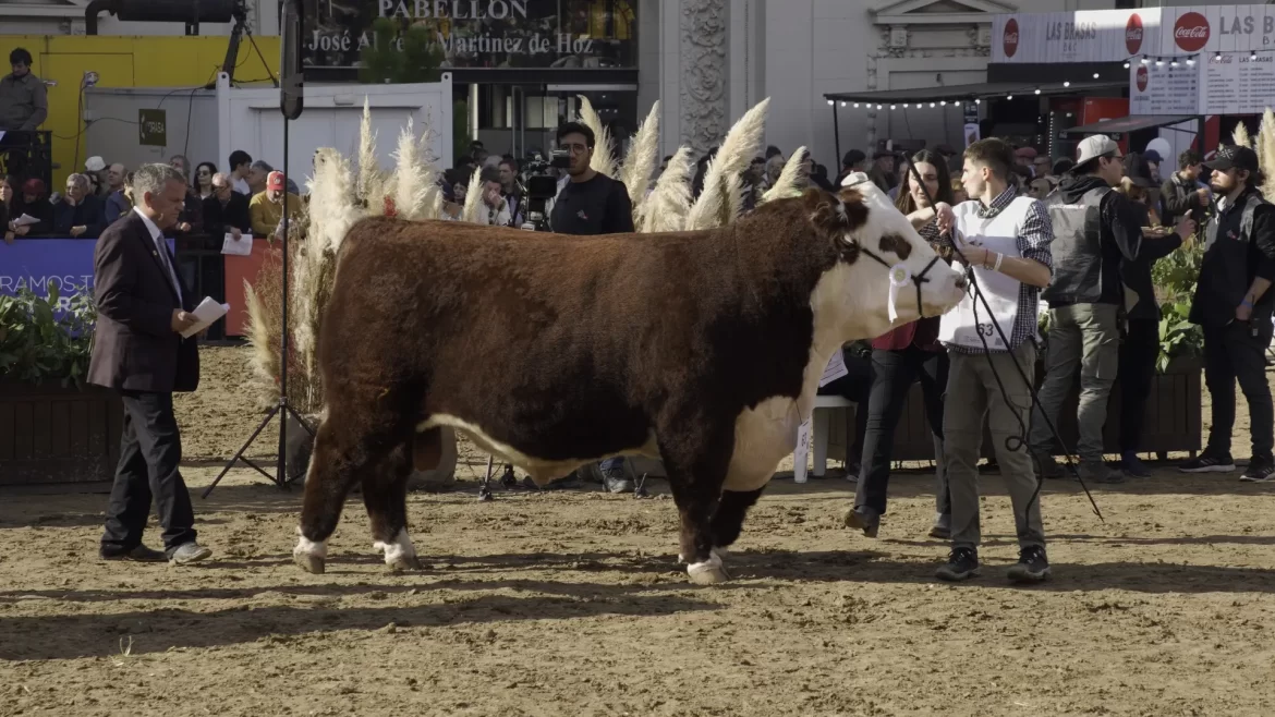 Río Negro brilló en la Exposición Rural de Palermo