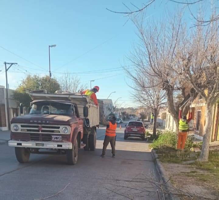 Realizan trabajo de poda y arbolado en Patagones