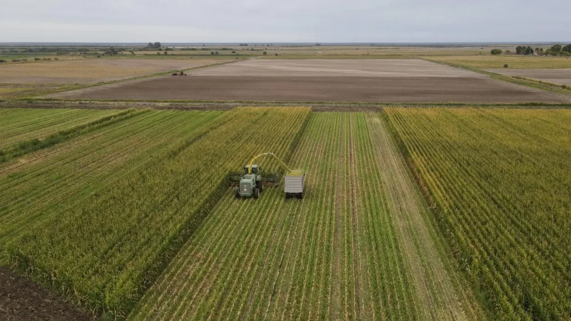 La agricultura bajo riego como impulso del desarrollo productivo