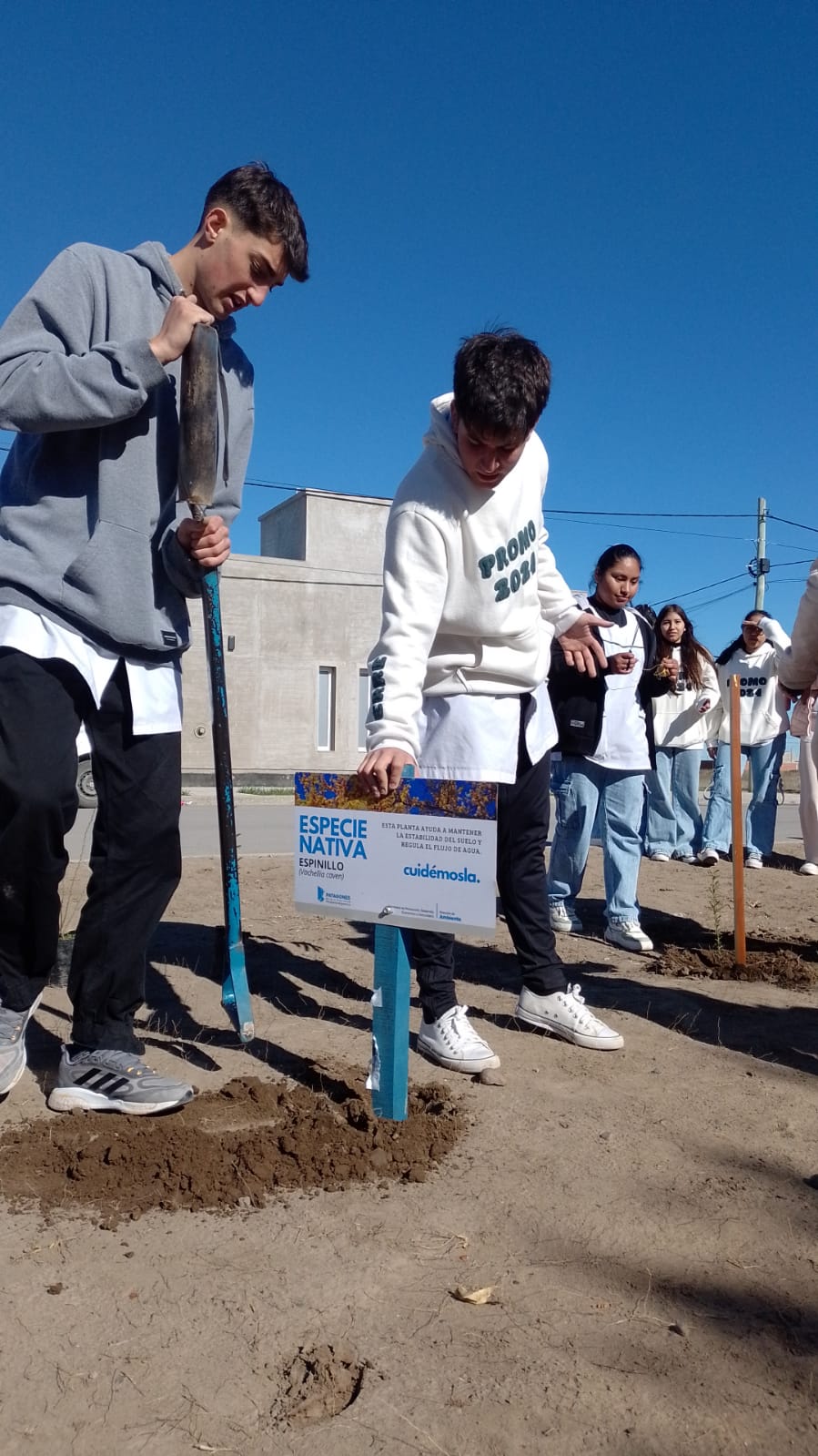 Dia del árbol en Villalonga con actividades medioambientales