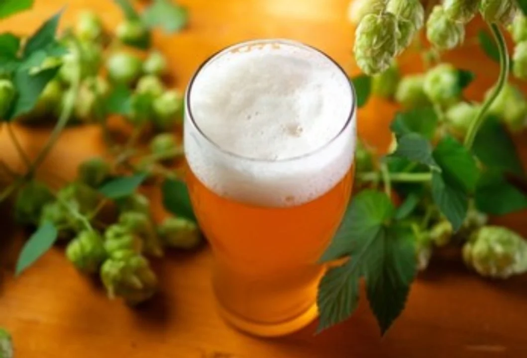 Hoy se celebra el “IPA Day” en Argentina