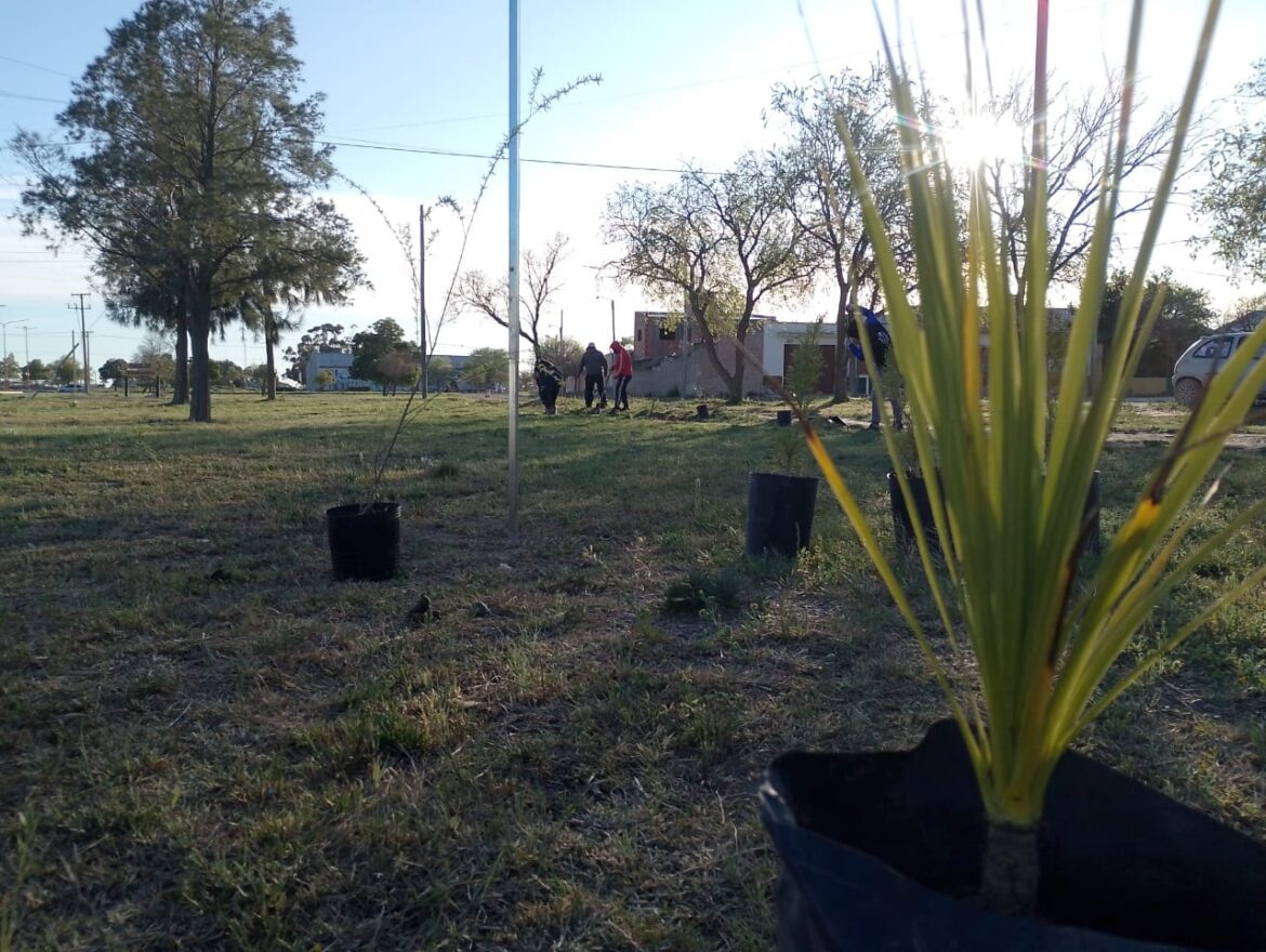 El vivero municipal entregó árboles a instituciones locales