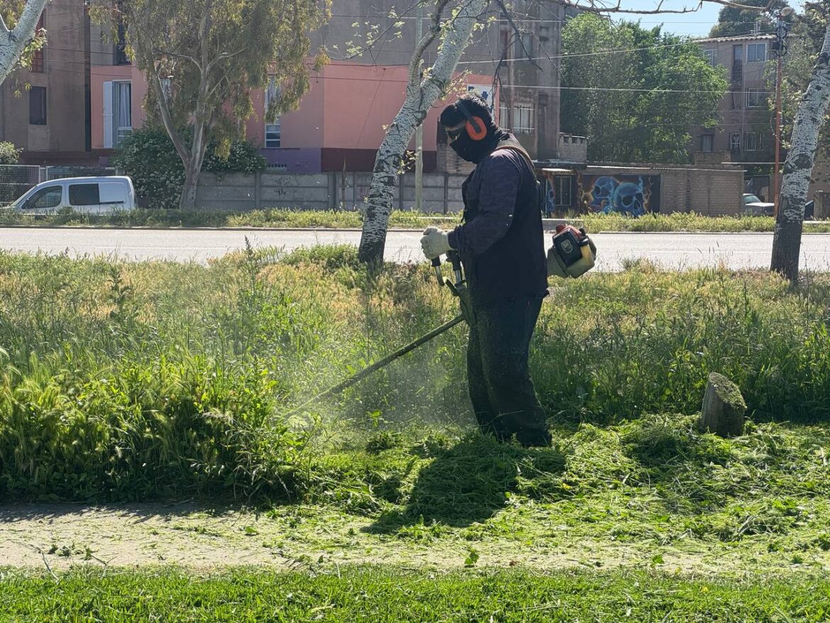 Tareas de prevención y concientización del Dengue