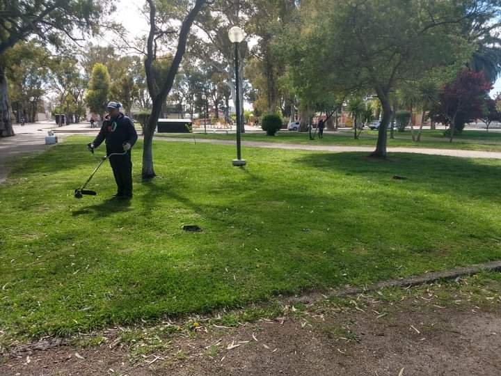 Se intensifican las tareas de desmalezamiento por la gran cantidad de lluvia