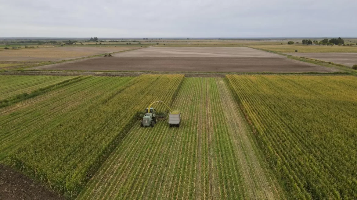 Ofrecen líneas de crédito para el sector agroproductivo rionegrino