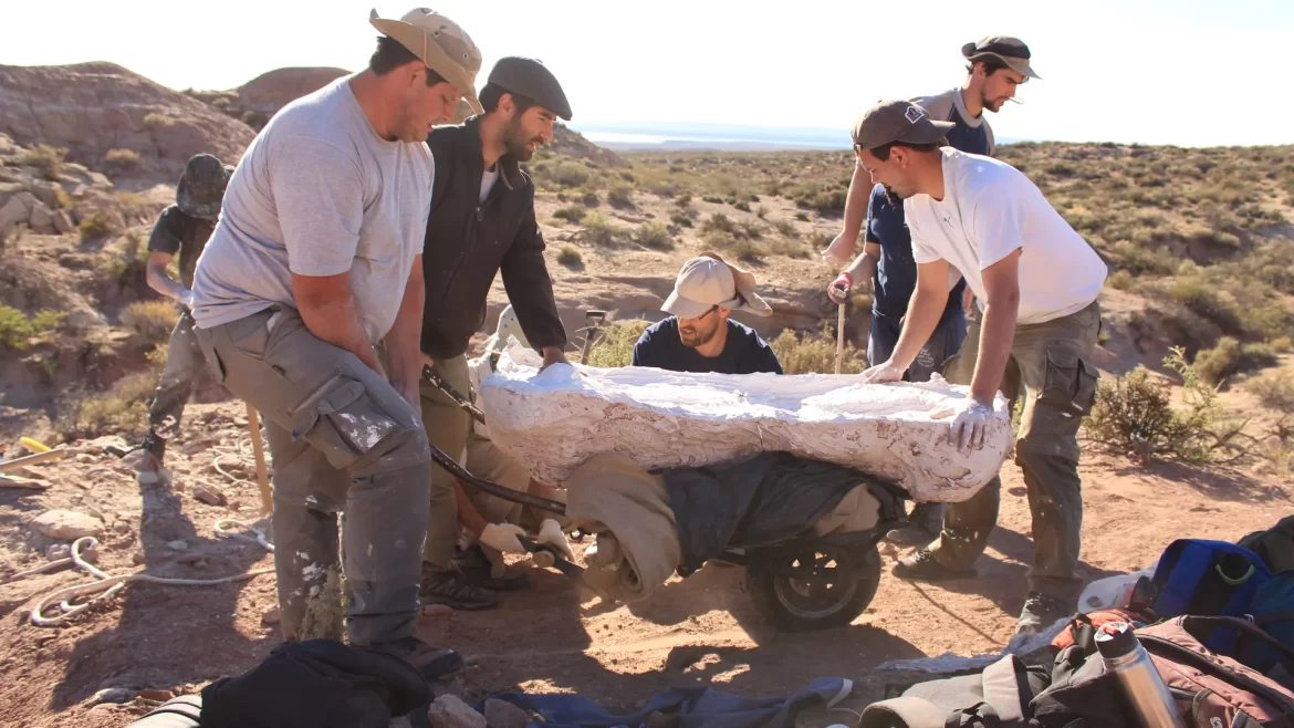 Descubren fósiles de un dinosaurio carnívoro gigante en Río Negro