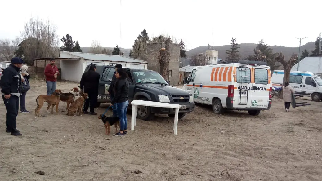 Remarcan la importancia de desparasitar perros para prevenir hidatidosis