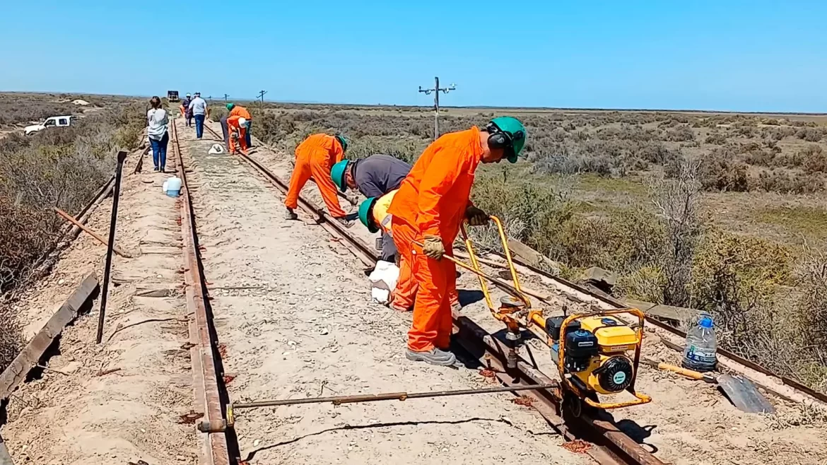 Trabajan en la renovación de vías para el tramo Viedma San Antonio Oeste