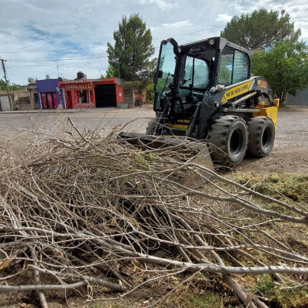 Limpian microbasurales en distintos puntos de Viedma