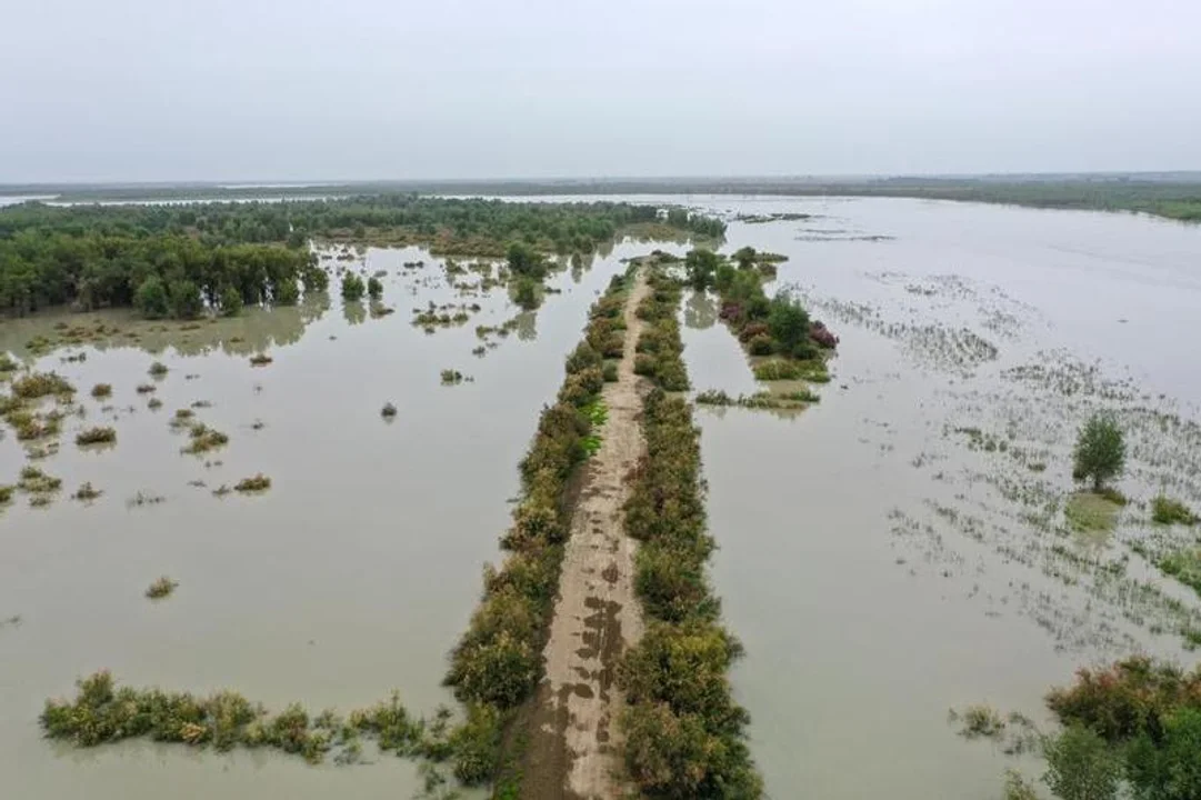 Declaran el Estado Nacional de Desastre por las intensas lluvias  en Colombia