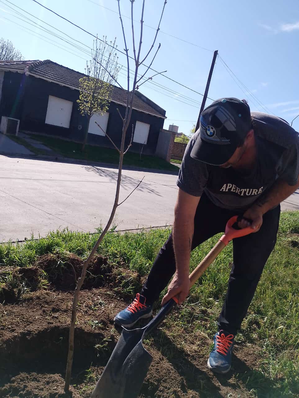 Avanza el plan de arbolado urbano en Patagones